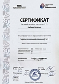 Сертификаты Цыбина Наталья Алексеевна 1