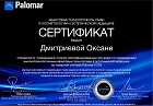 Сертификаты Дмитриева Оксана Владимировна 2