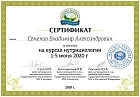 Сертификаты Семенов Владимир Александрович 11
